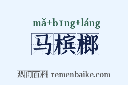 马槟榔是什么意思的图片